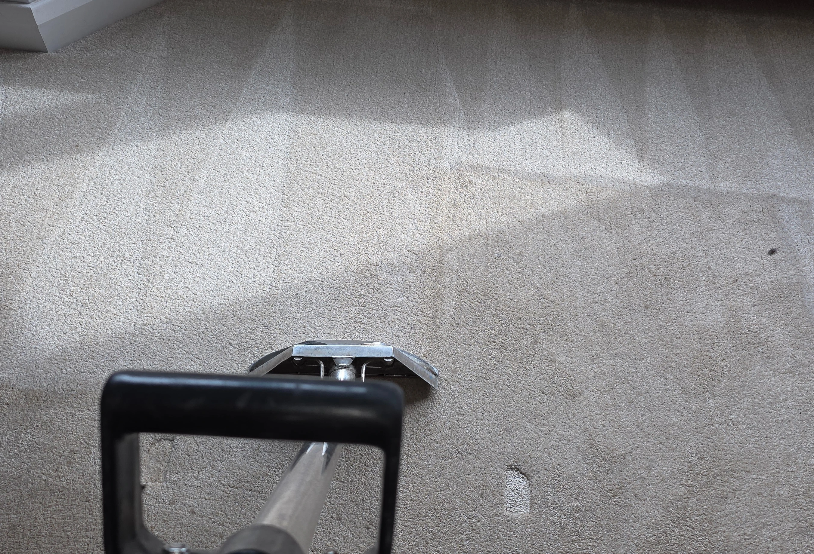 Professional carpet cleaning using CRB machine and fresh water extraction method